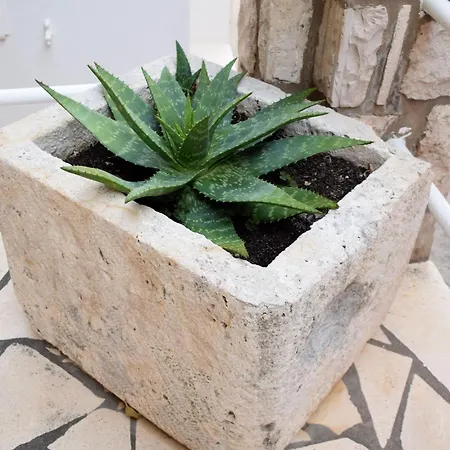 By The Sea Podobuce, Peljesac - 631 Apartamento